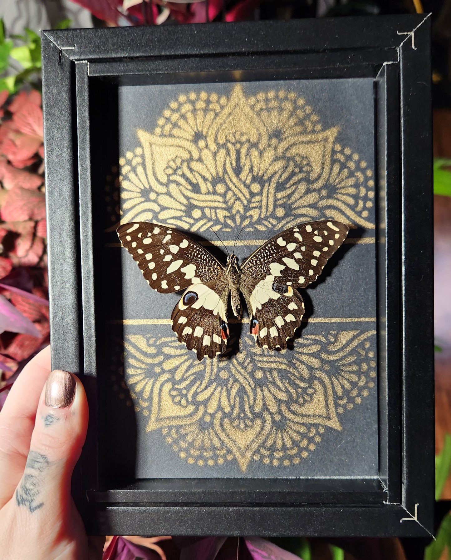 Gold stencil and Butterfly