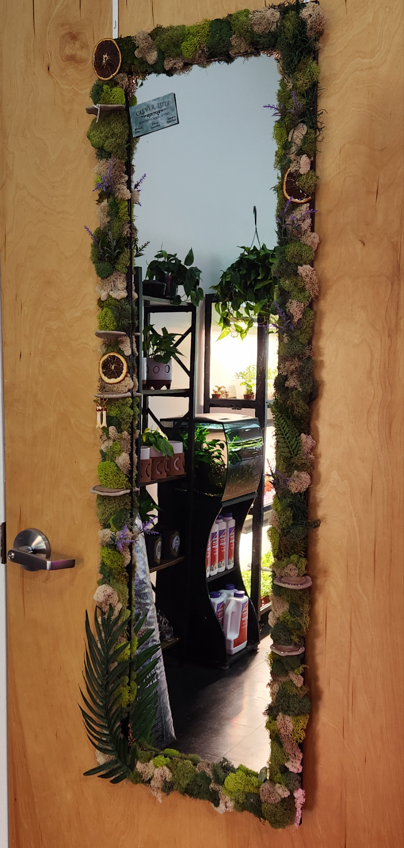 Door hanging mirror and ear ring display