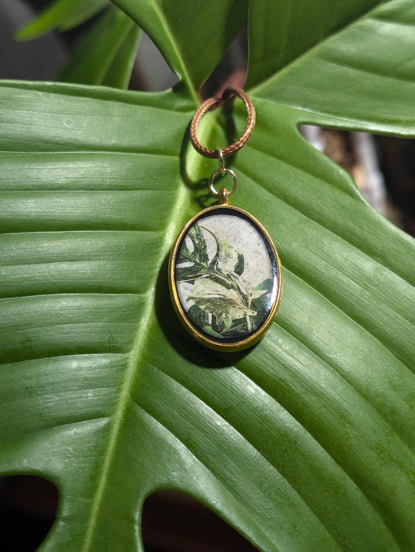 Monstera Medallion